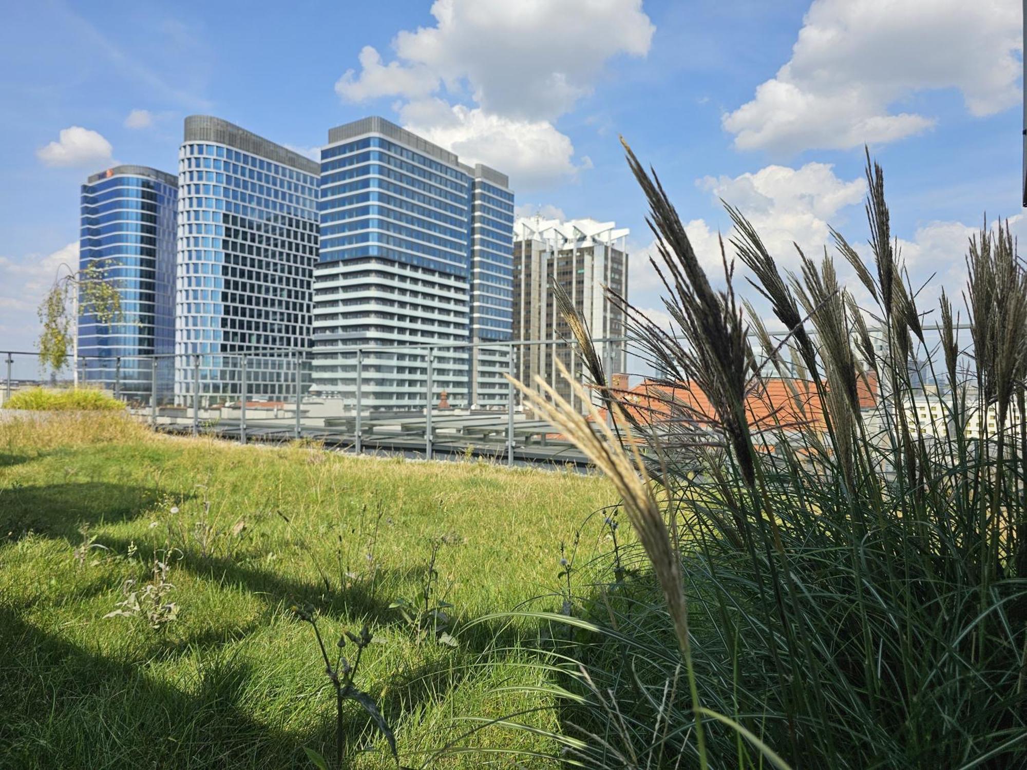 Urban Apartments Premium, Opolska 10 No 21, Free Garage, Self Check-In Katowice Exterior foto